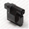 DELPHI GN10148 Ignition Coil Unit